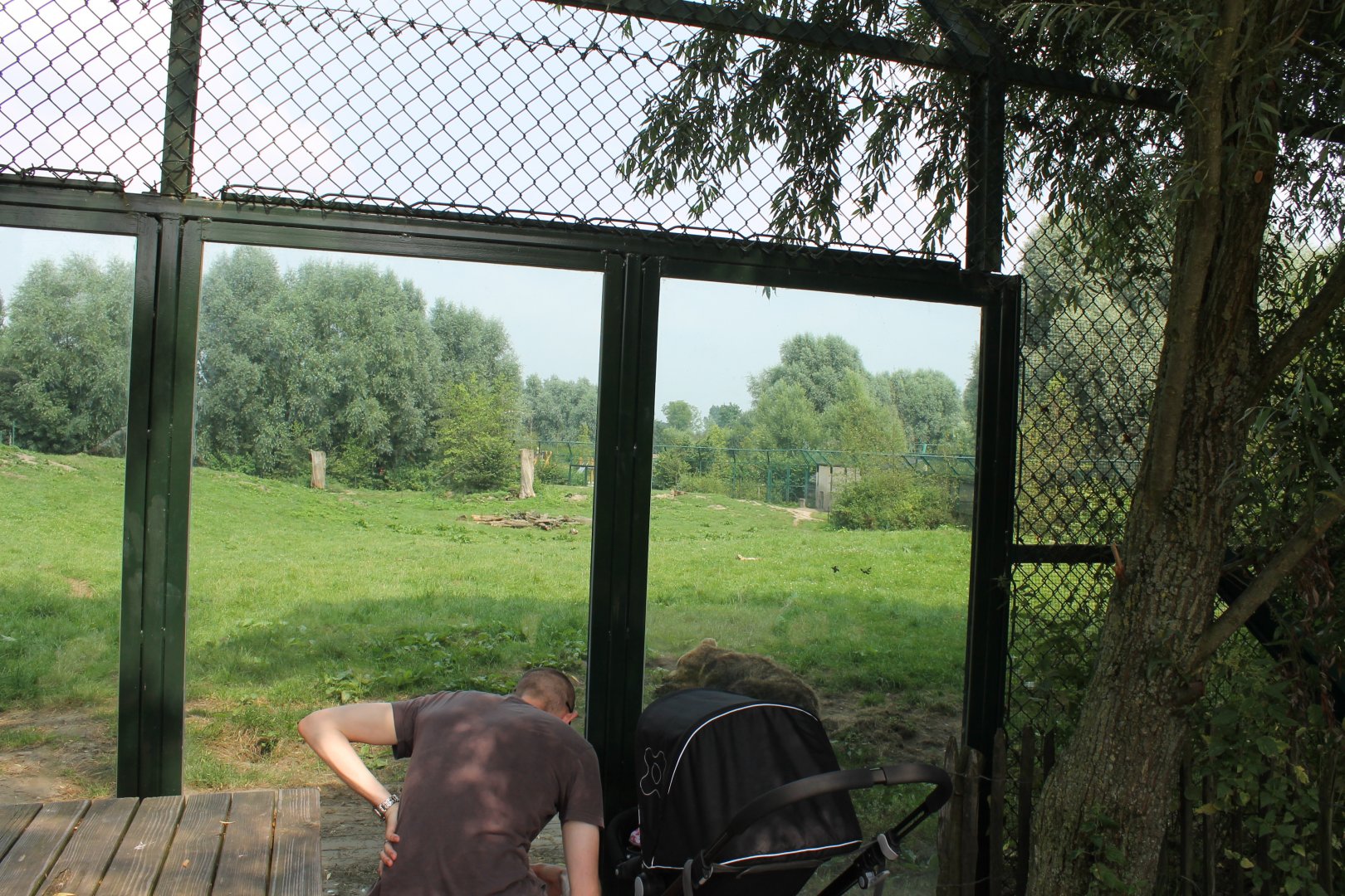 Brown bear enclosure