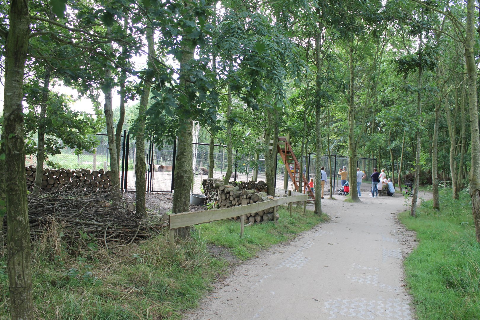 Brown bear enclosure