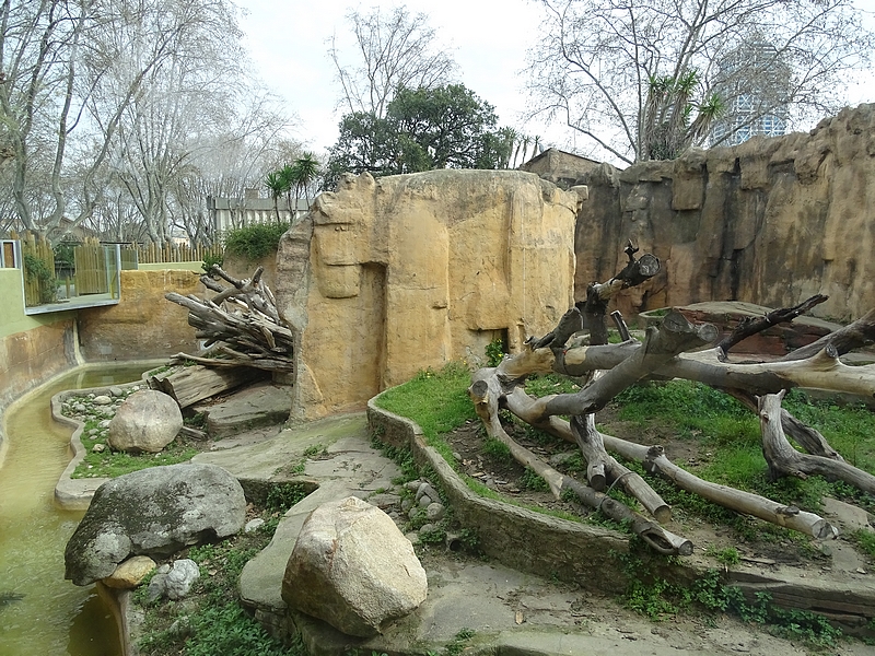 Brown bear enclosure