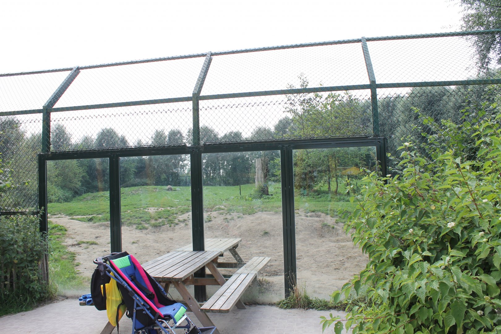 Brown bear enclosure