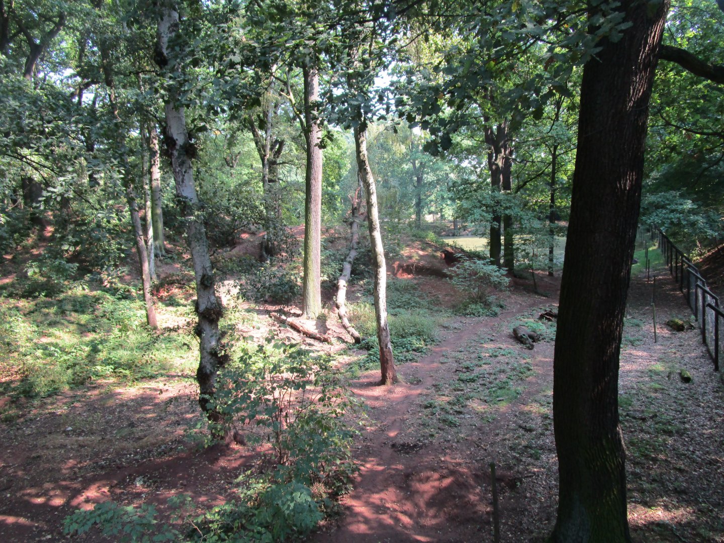 Brown Bear Enclosure