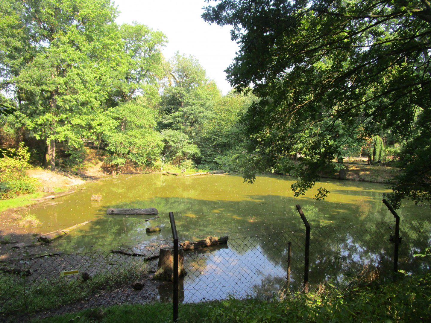 Brown Bear Enclosure