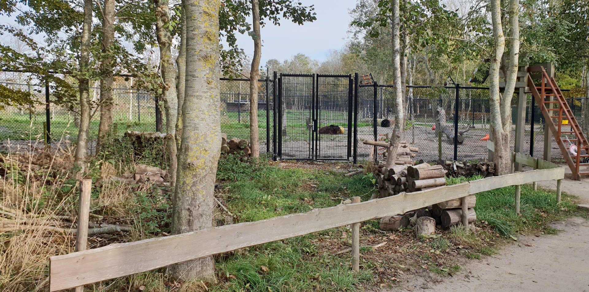 Brown bear enclosure