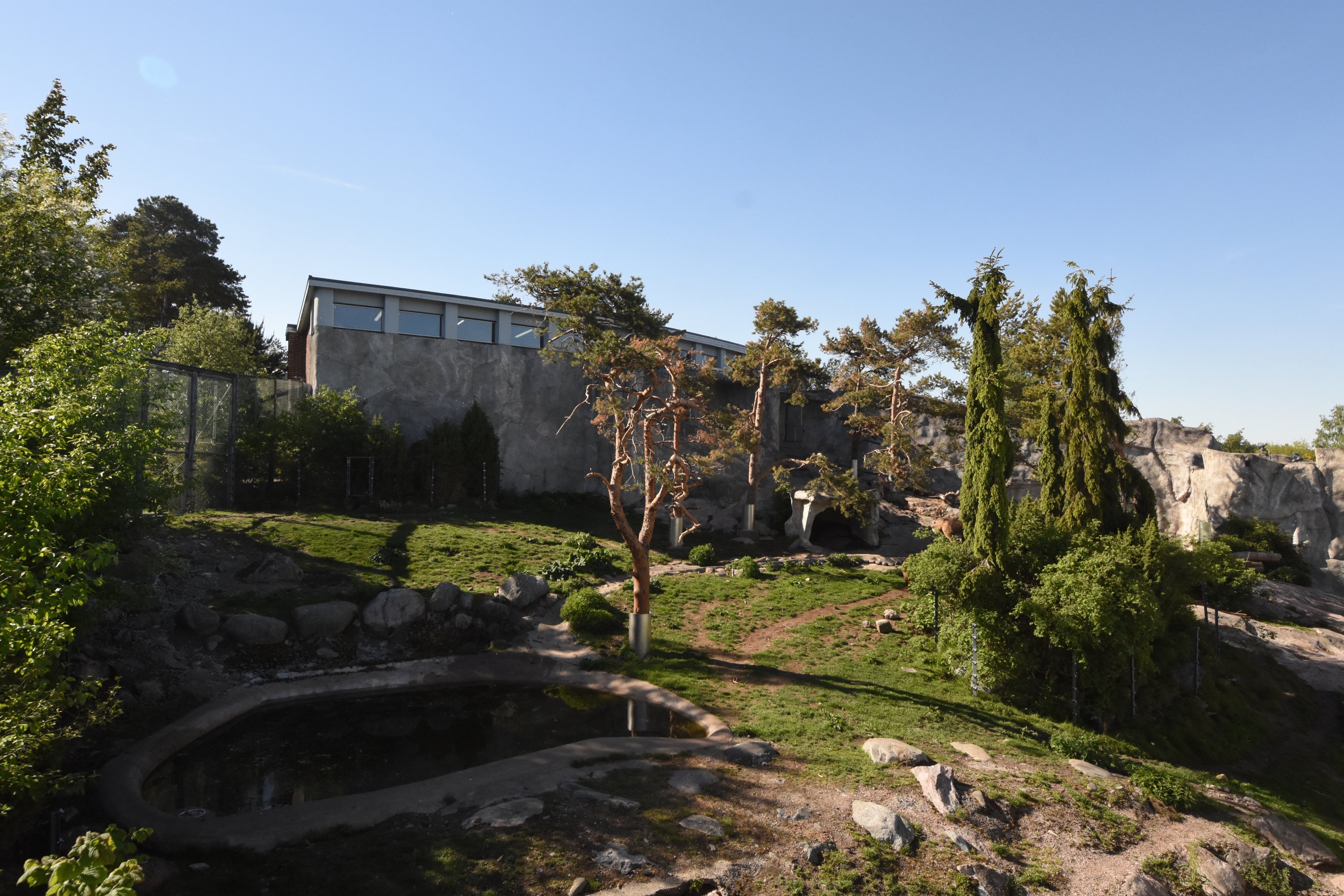 Brown bear enclosure