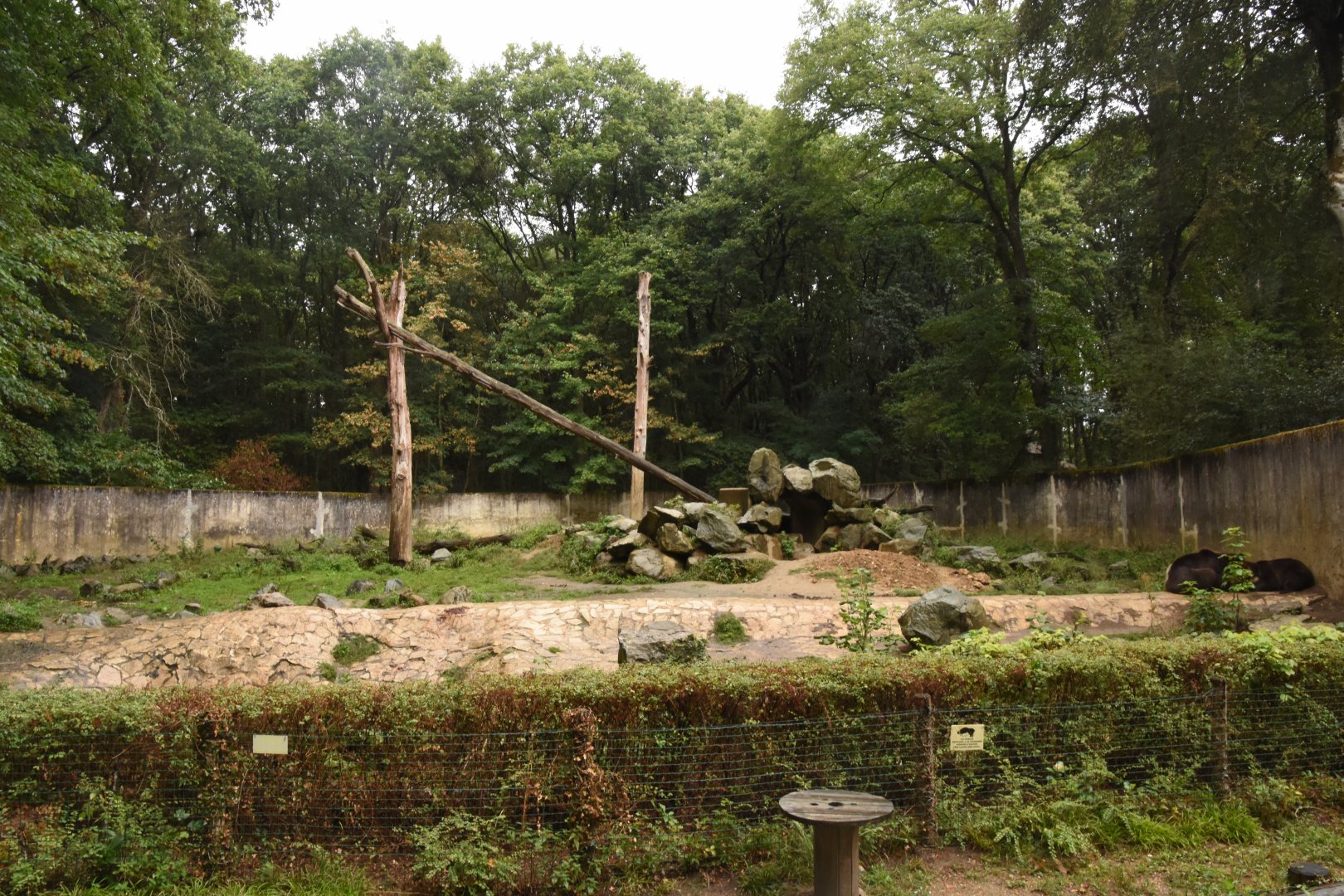 Brown Bear enclosure