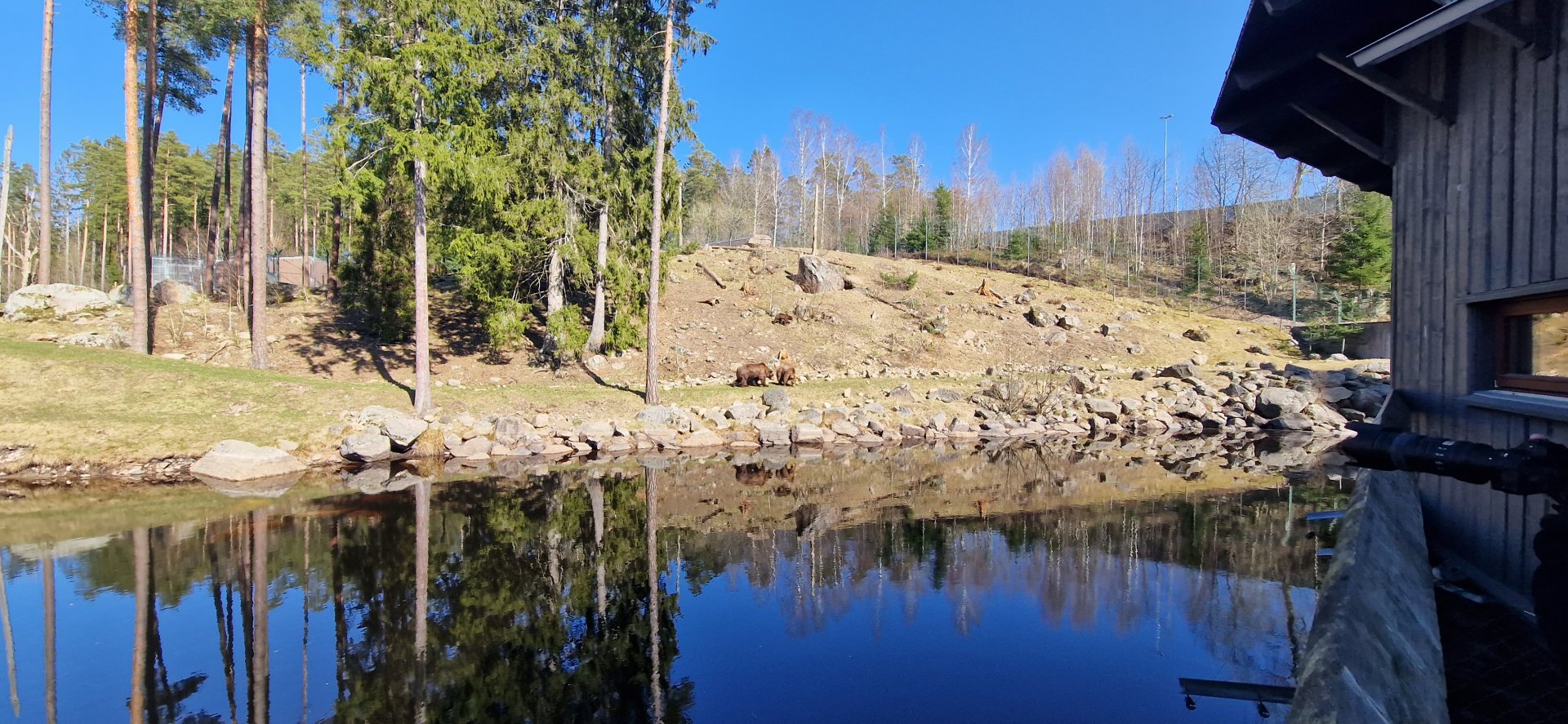 Brown Bear enclosure