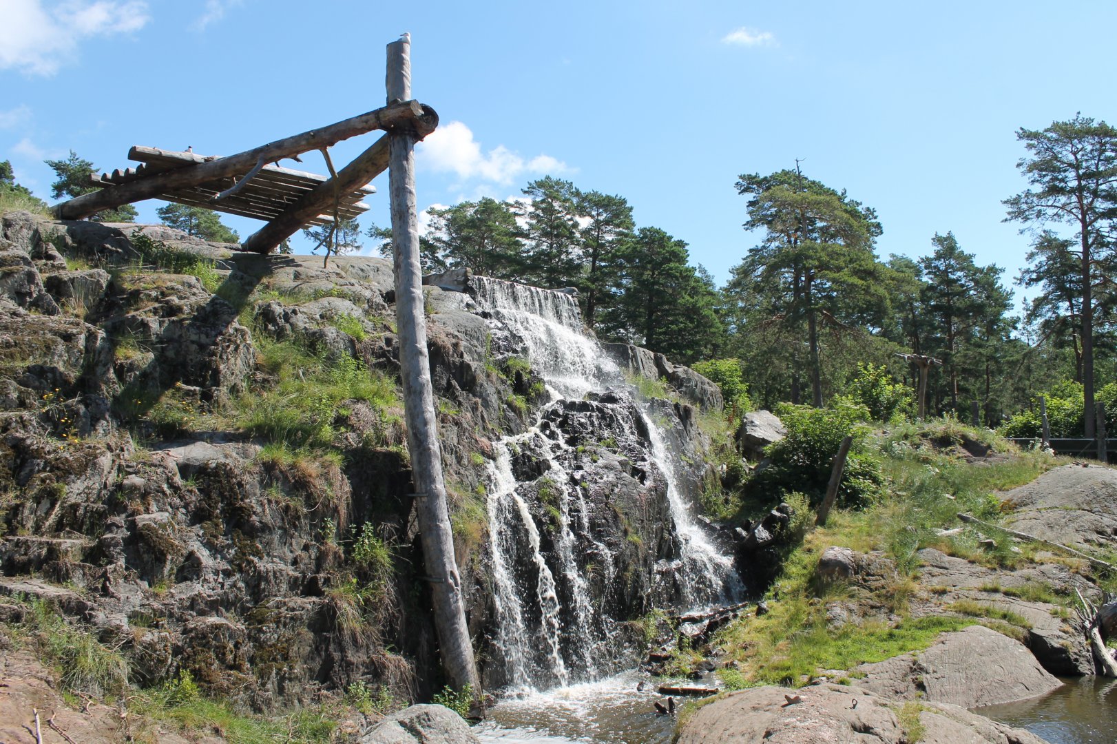 Brown Bear Enclosure