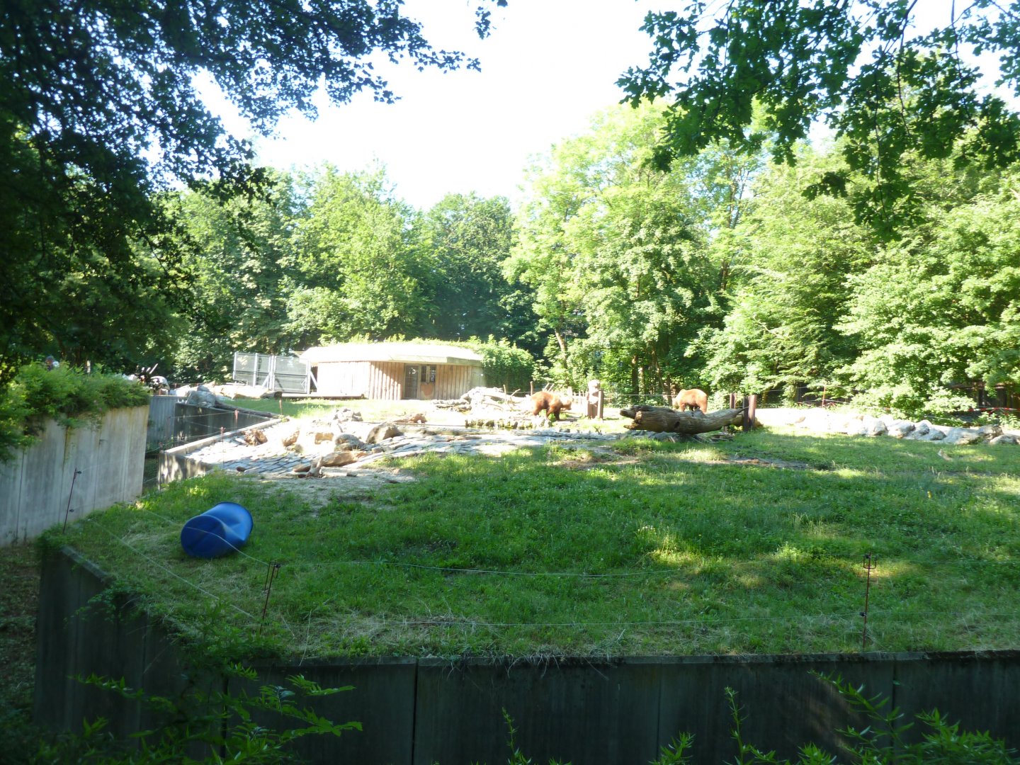 Brown bear enclosure