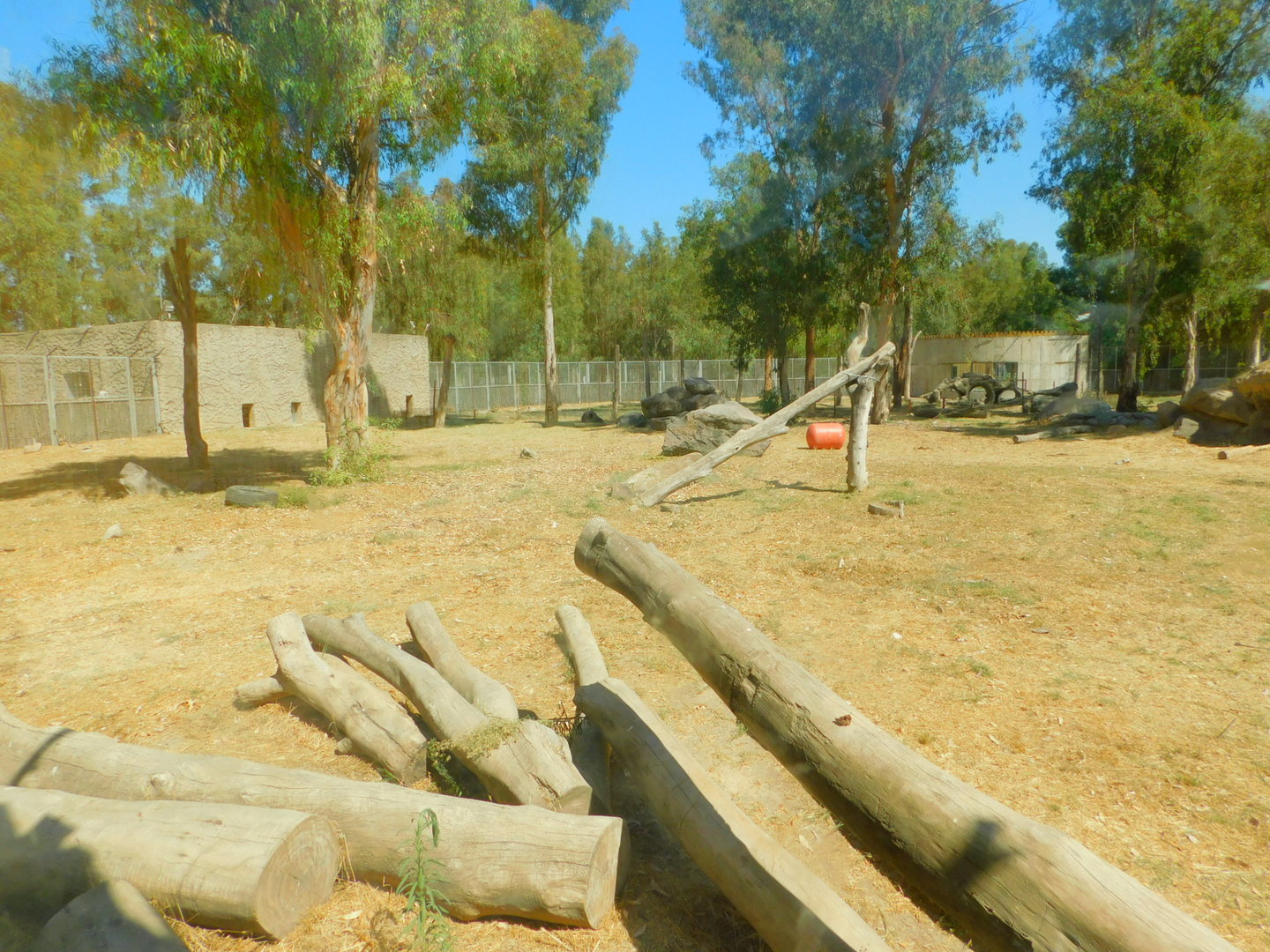 Brown Bear Enclosure