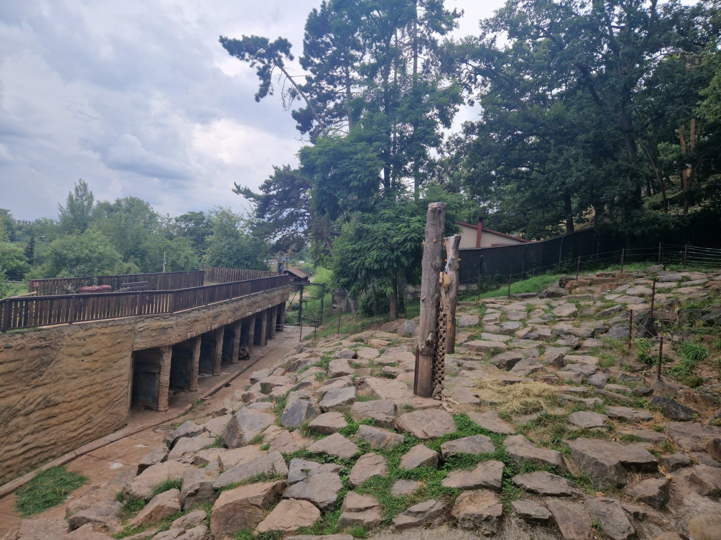 Brown bear enclosure
