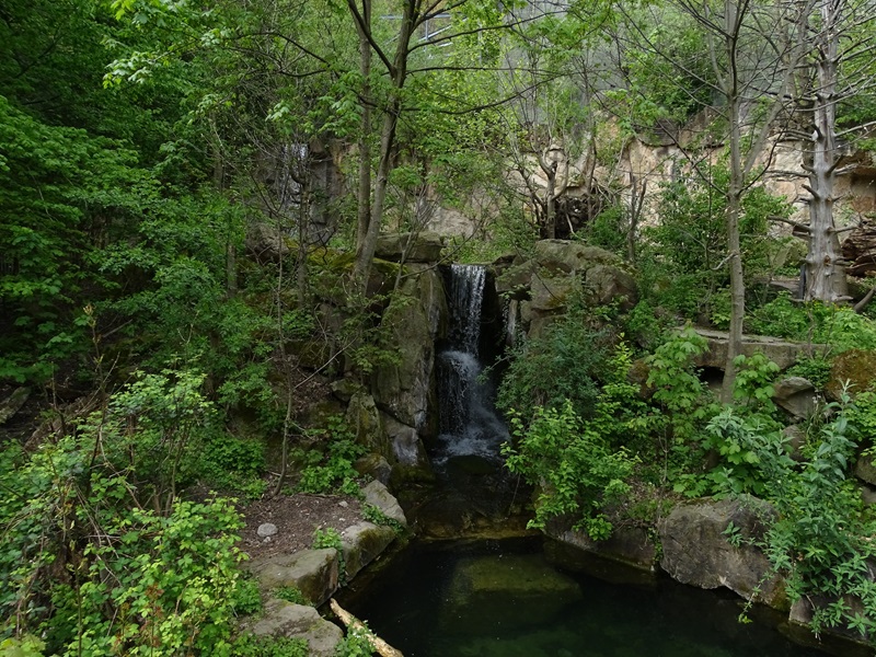 Brown bear enclosure