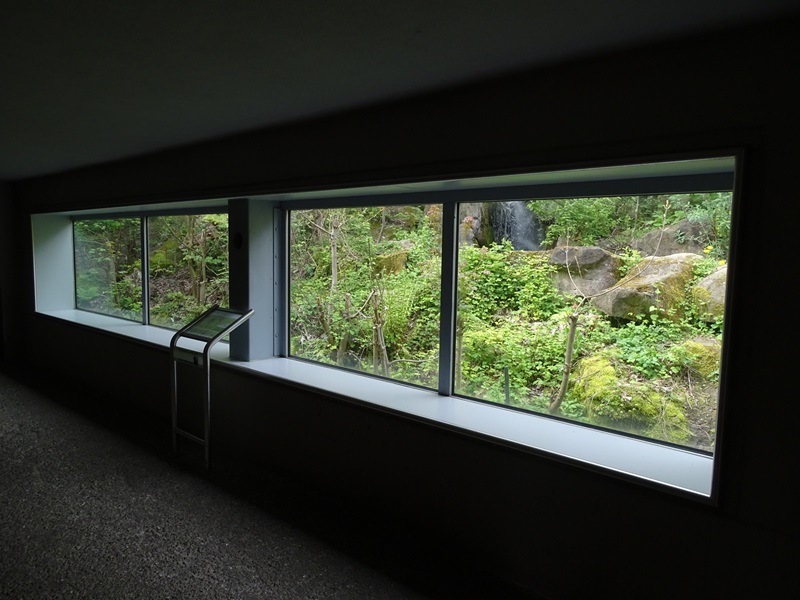 Brown bear enclosure