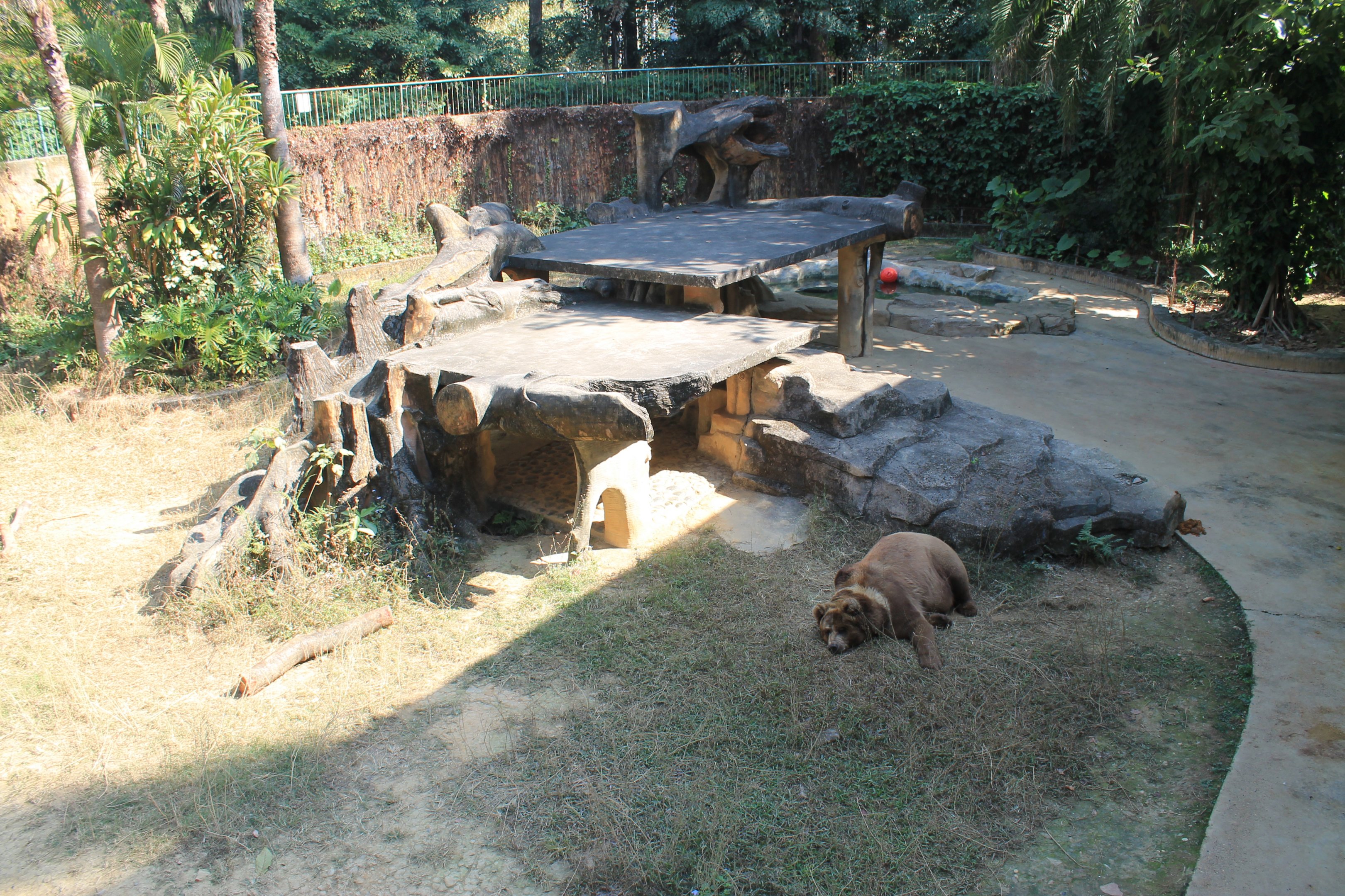 Brown Bear enclosure