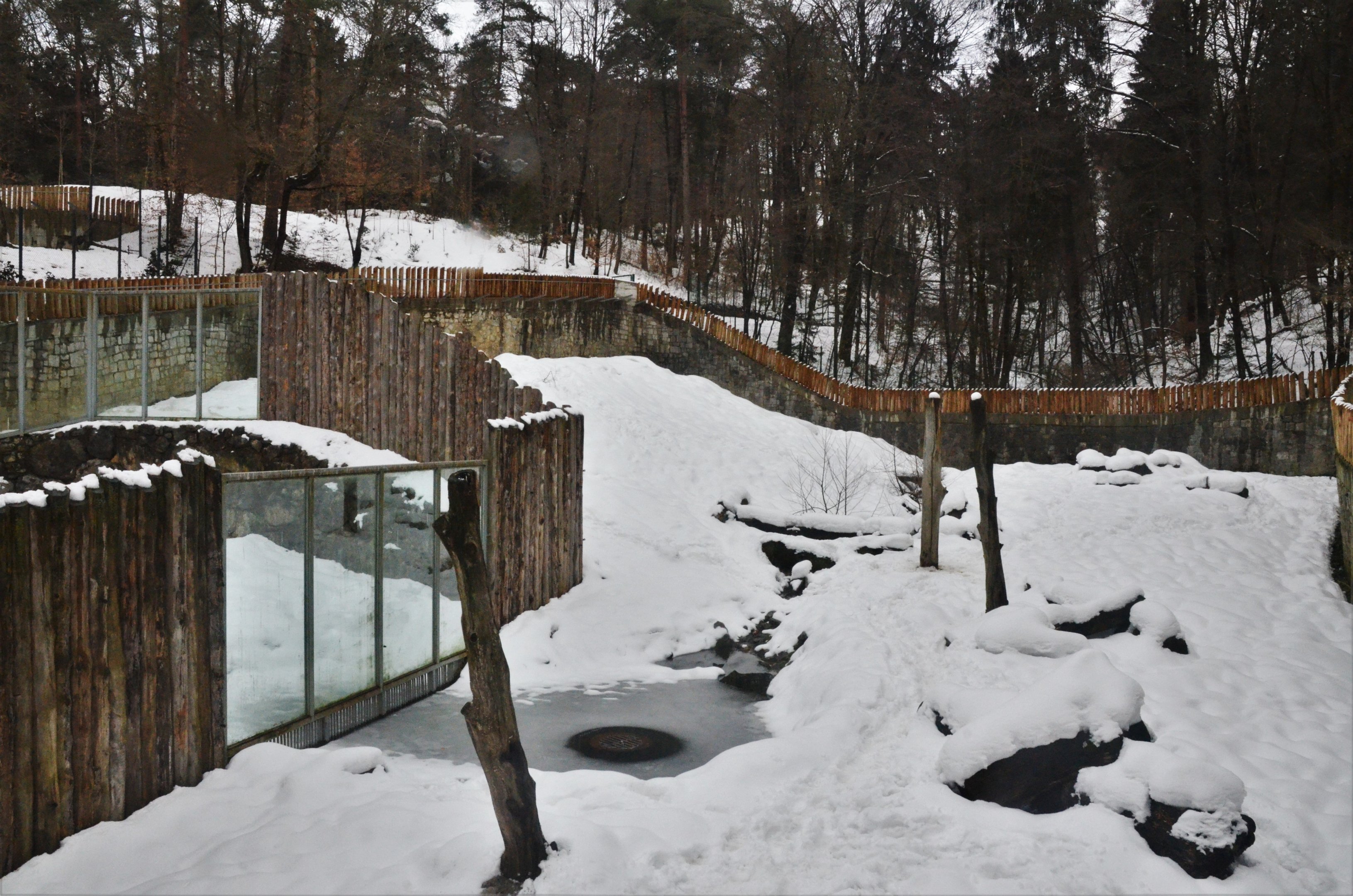 Brown Bear Enclosures at Ljubljana Zoo, 07/03/18