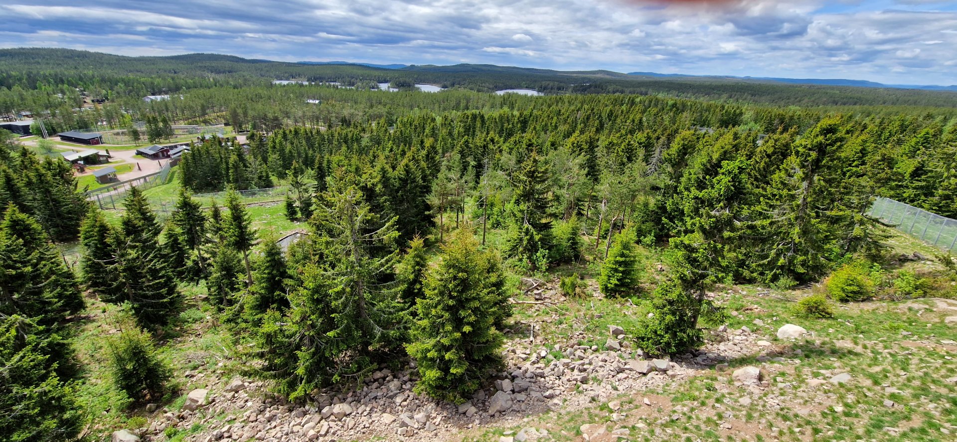 Brown Bear enclosures