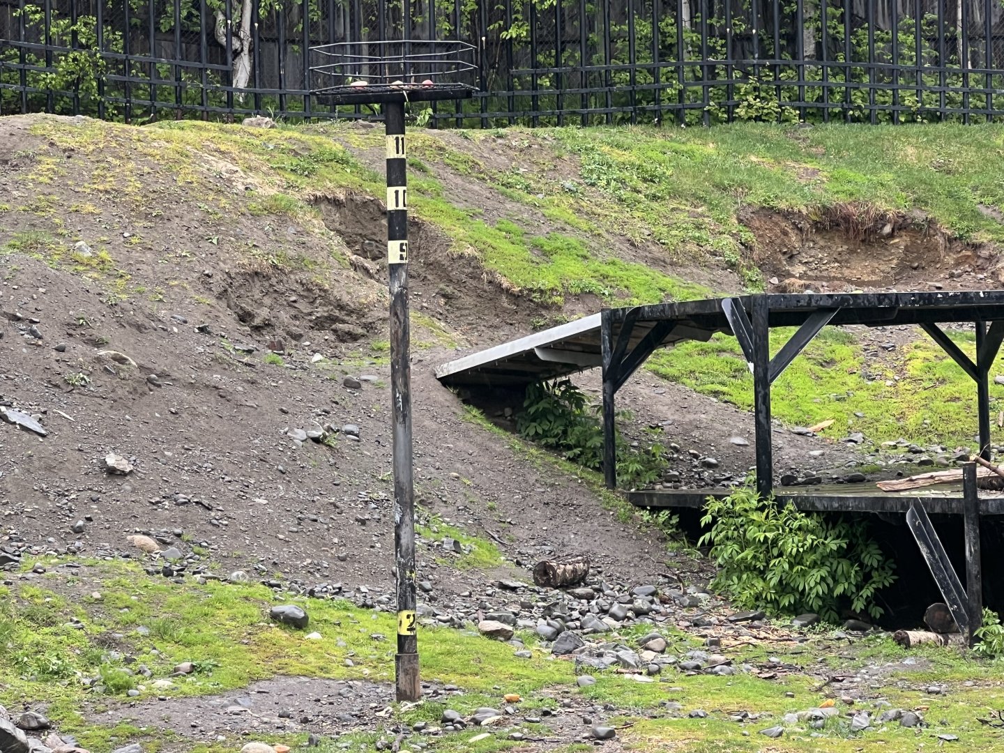 Brown Bear Enrichment Post