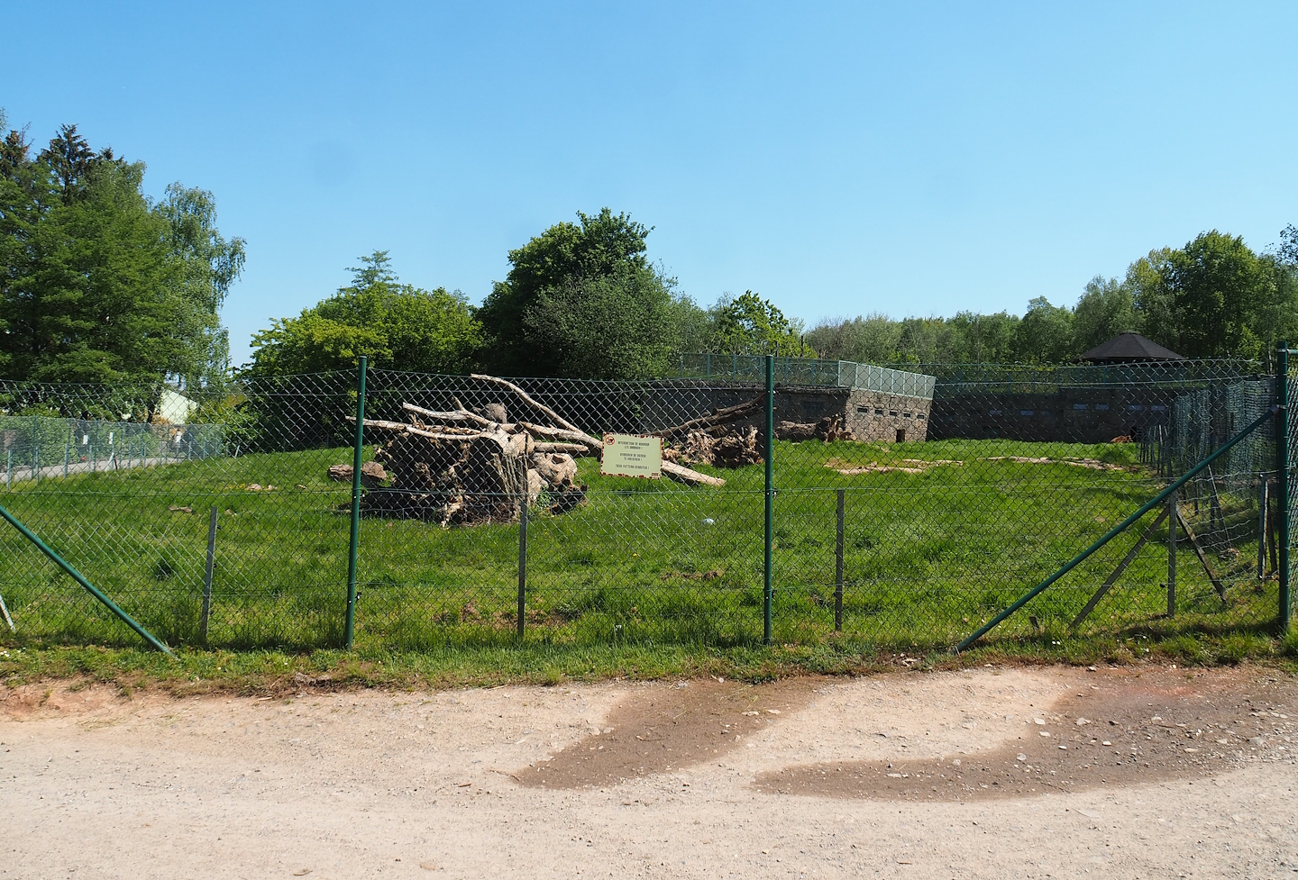 Brown bear exhibit, 2023-05-19