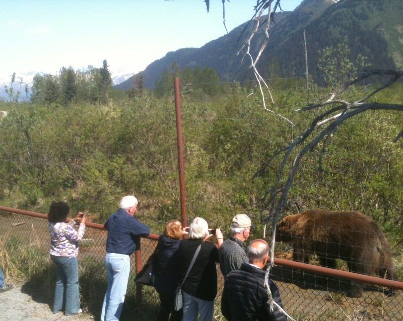 Brown Bear Exhibit and Guests.
