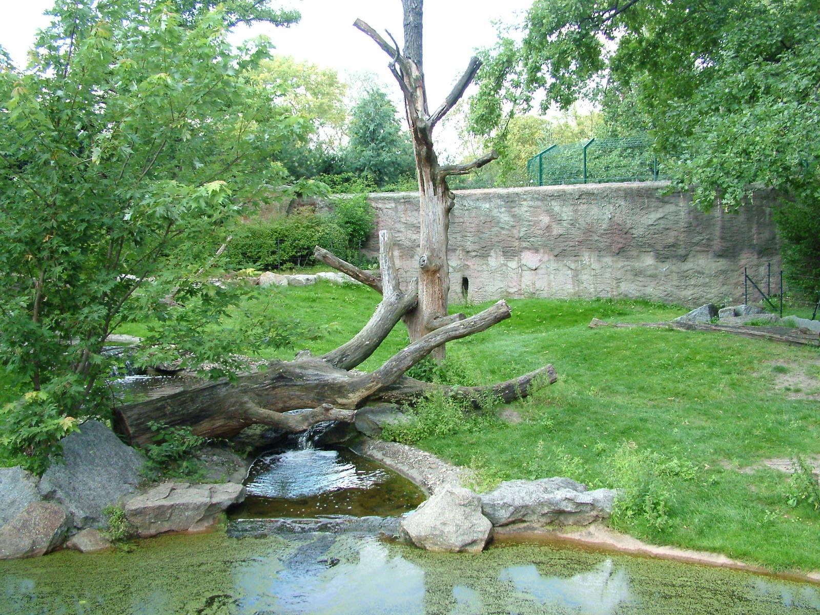 Brown Bear Exhibit at Berlin Zoo, 31/08/11