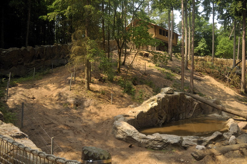 Brown bear exhibit at Wildpark Schwarze Berge
