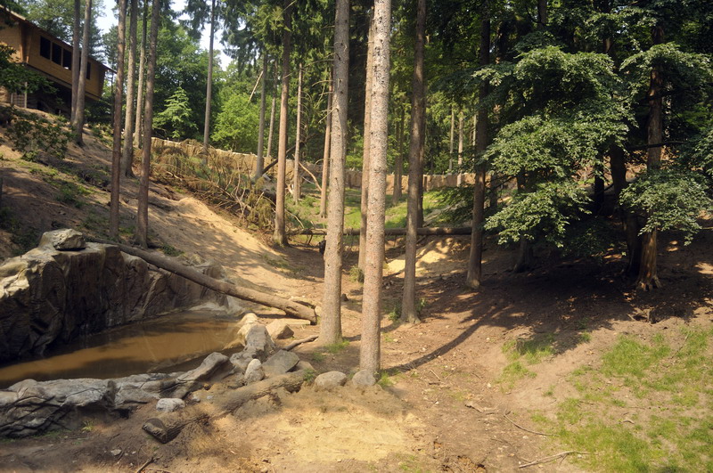 Brown bear exhibit at Wildpark Schwarze Berge