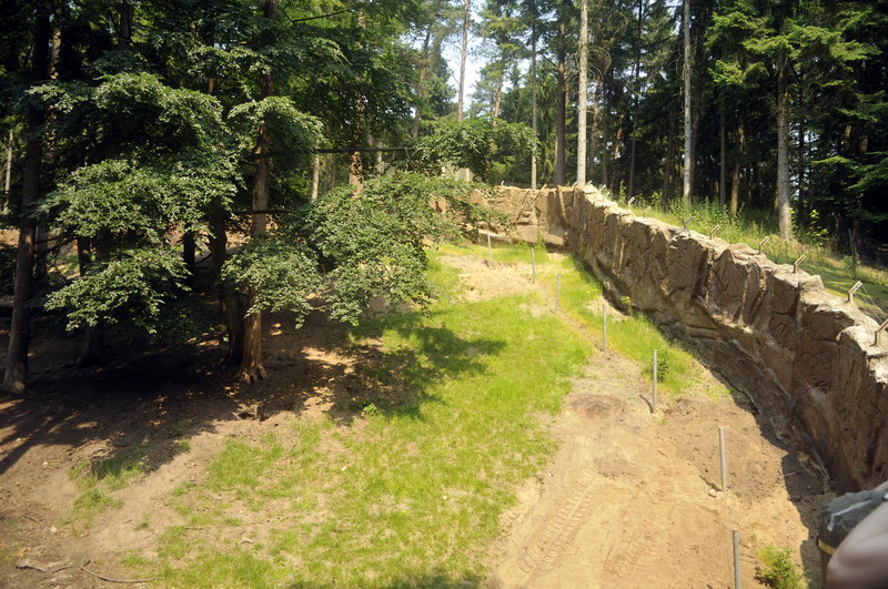Brown bear exhibit at Wildpark Schwarze Berge