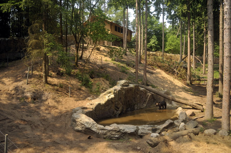 Brown bear exhibit at Wildpark Schwarze Berge