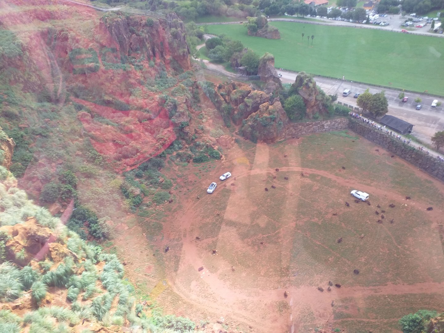 Brown bear exhibit from cable car-Cabarceno (2019)