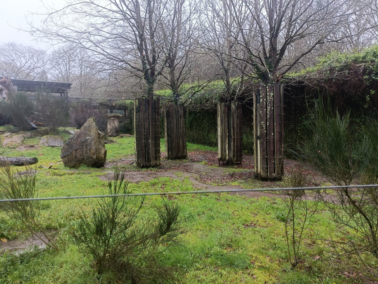 Brown bear exhibit -Marcelle Naturaleza