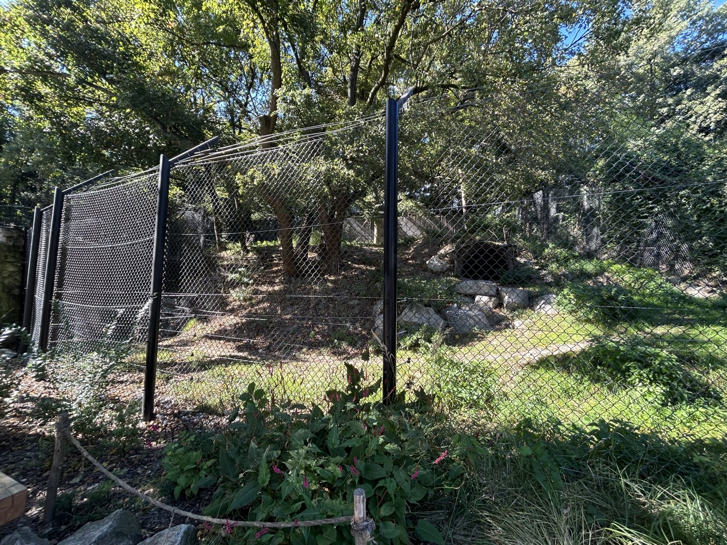Brown Bear Exhibit (New Portion)