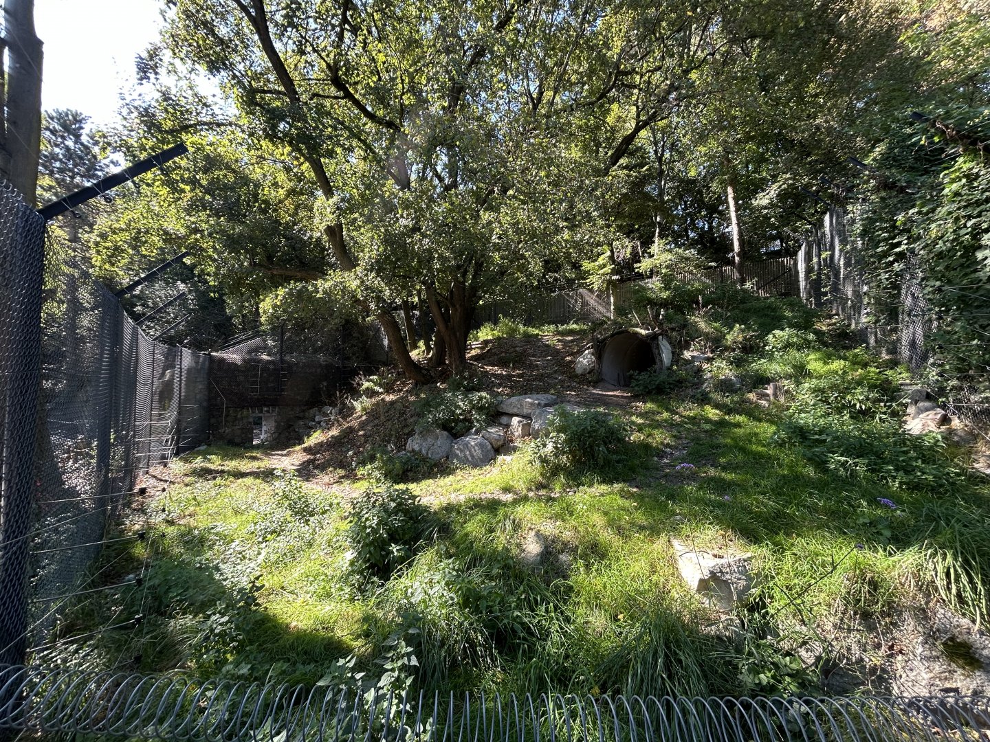 Brown Bear Exhibit (New Portion)