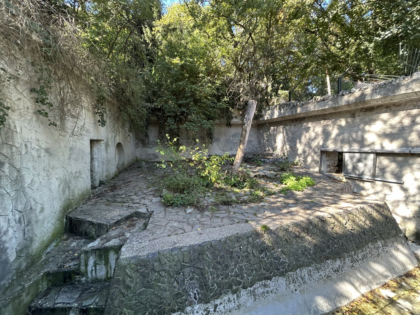 Brown Bear Exhibit (Old Portion)