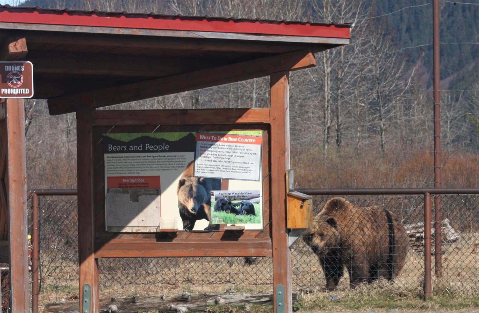 Brown Bear Exhibit Sign - May 2020