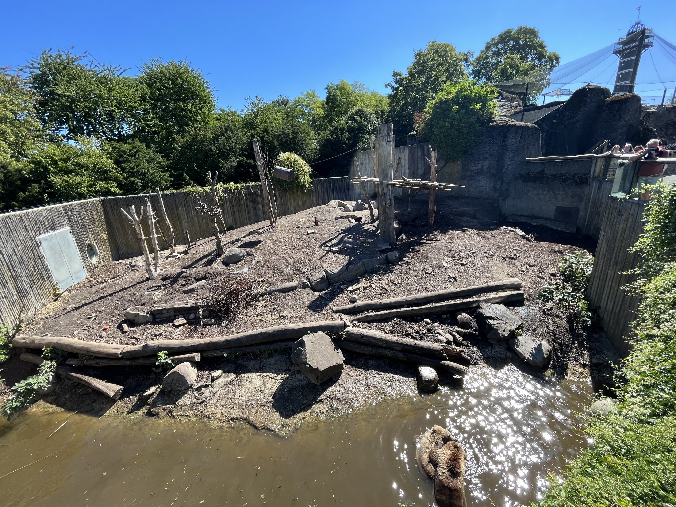 Brown Bear Exhibit - too small!