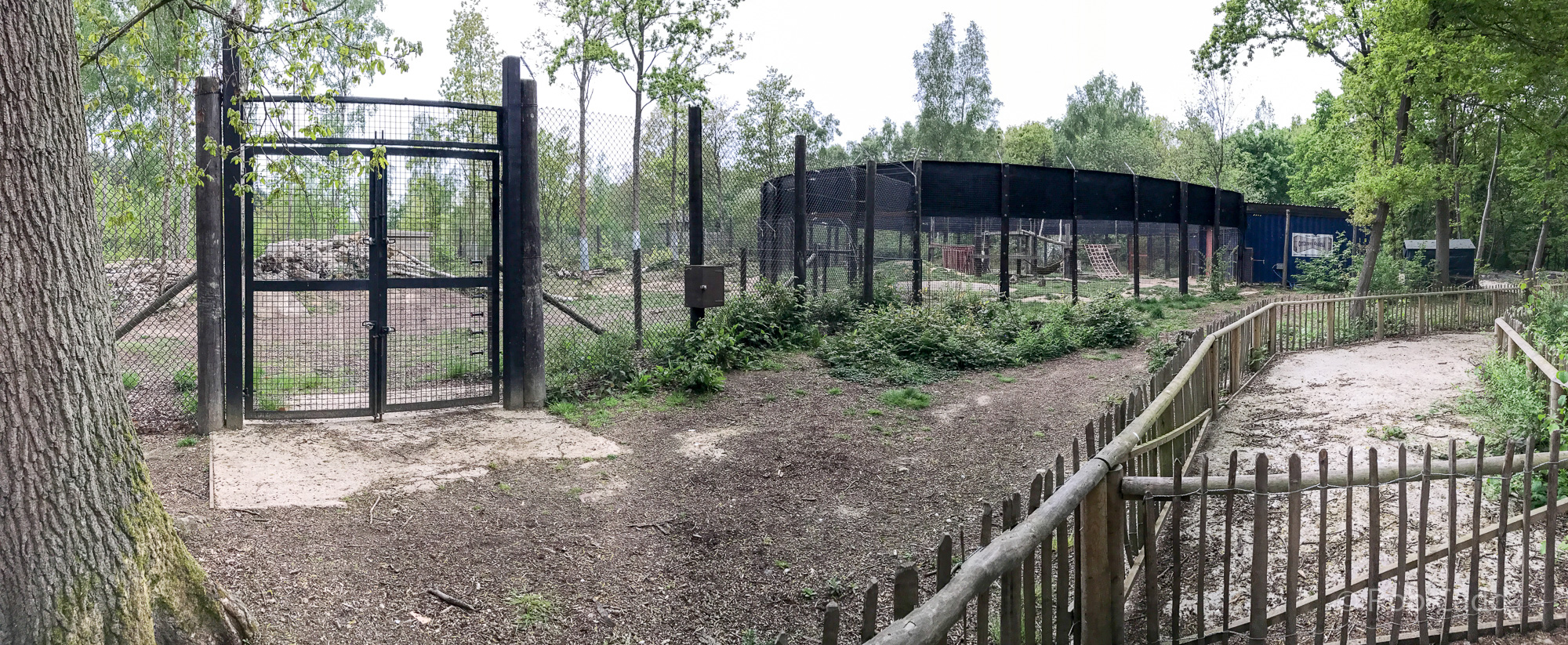 Brown bear (exhibit) : Wildwood : 07 May 2017