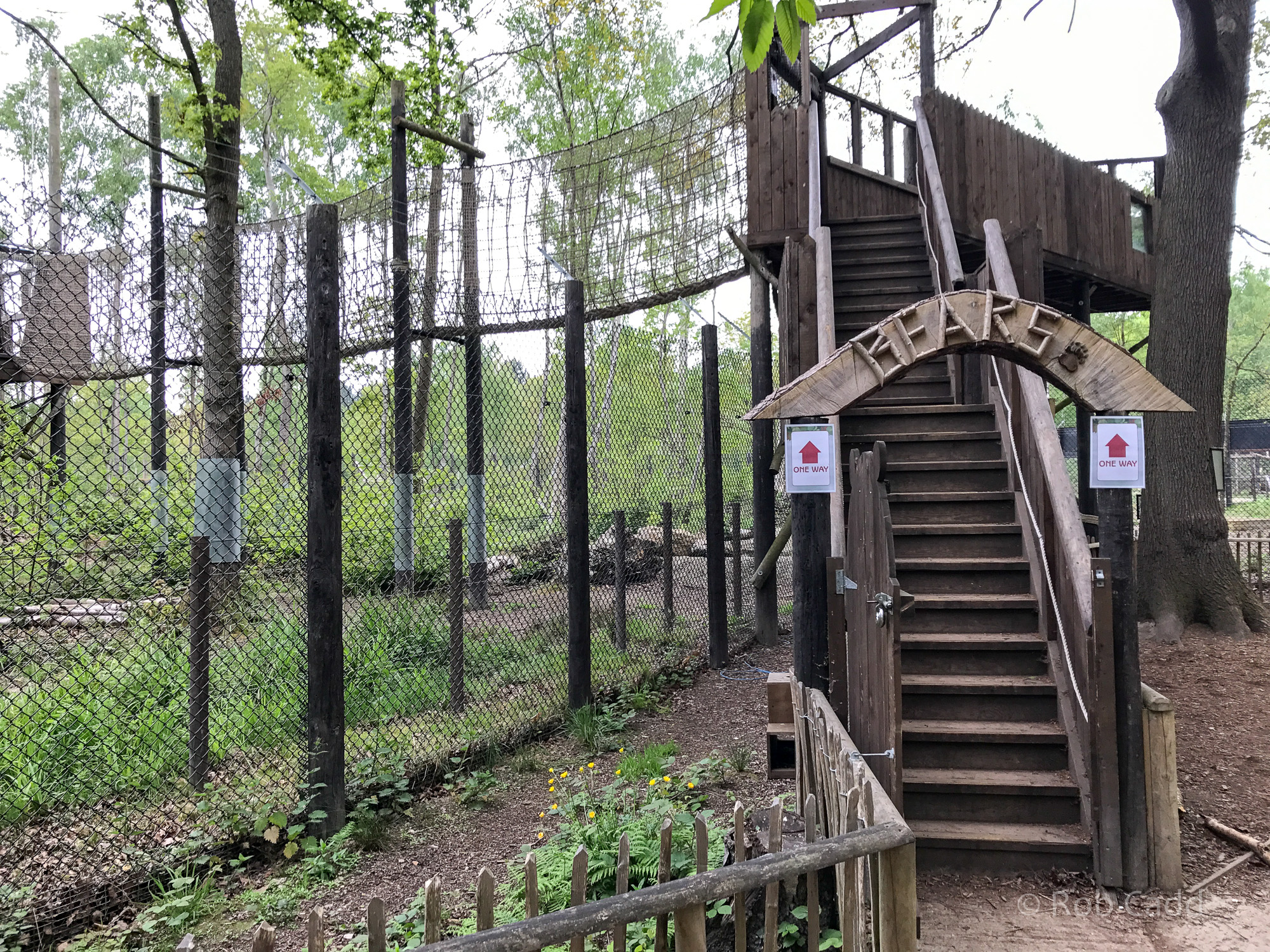 Brown bear (exhibit) : Wildwood : 07 May 2017