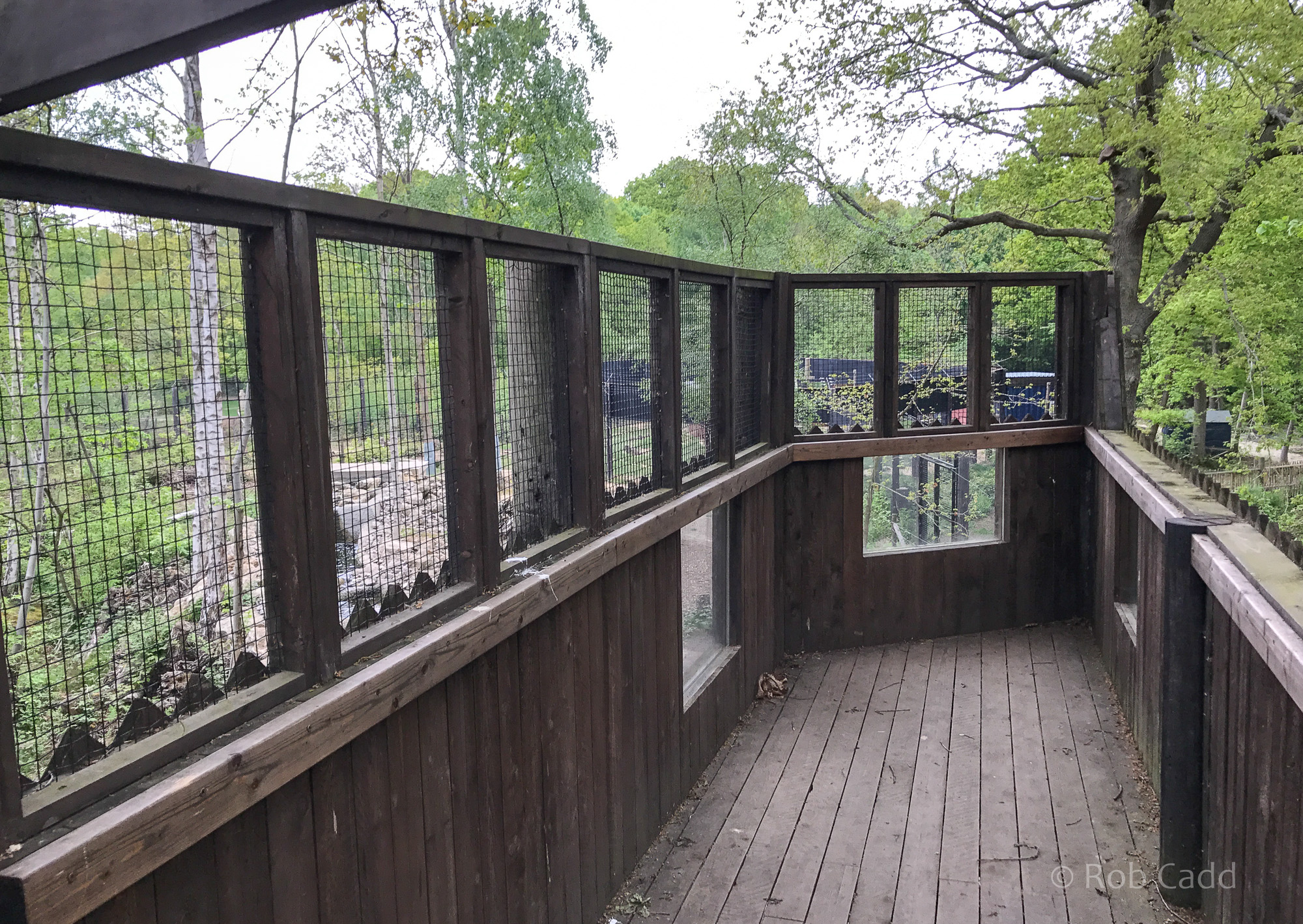 Brown bear (exhibit) : Wildwood : 07 May 2017