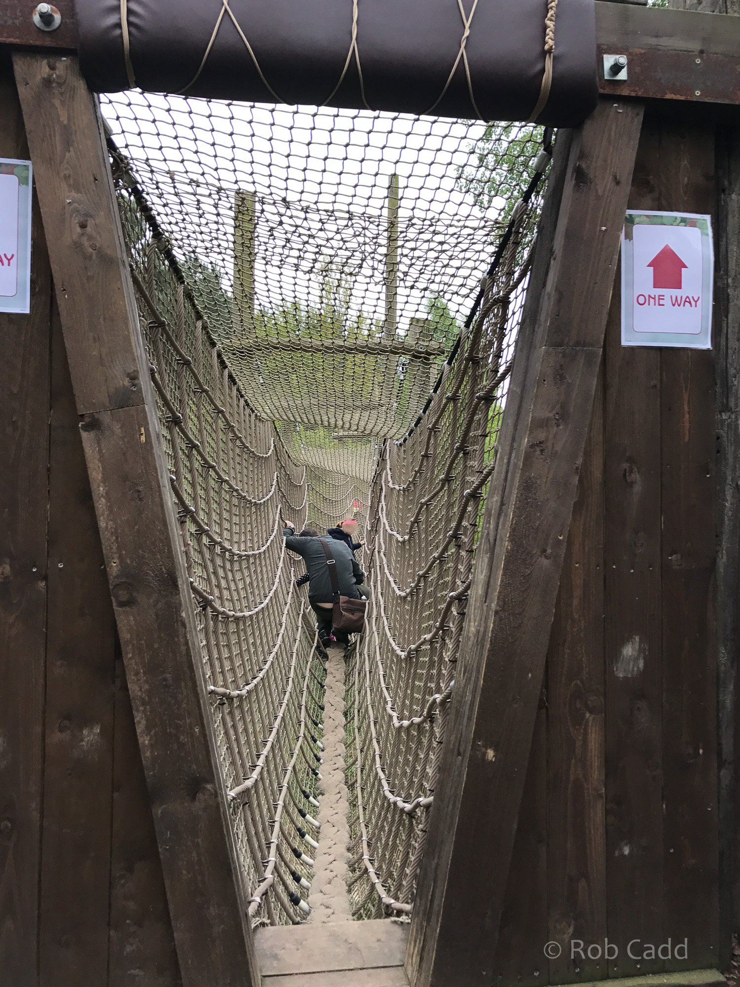 Brown bear (exhibit) : Wildwood : 07 May 2017