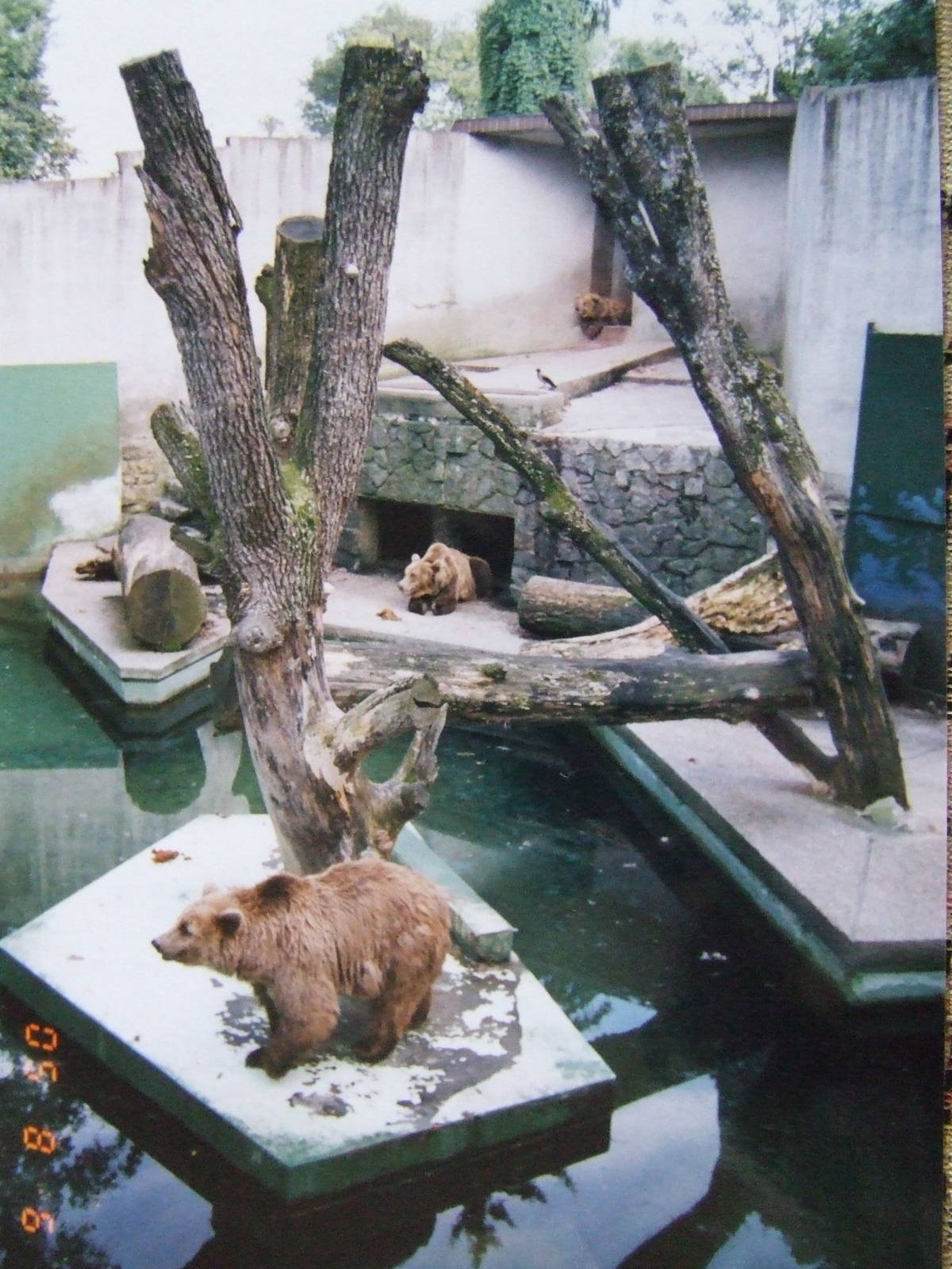 Brown bear exhibit @ Zagreb Zoo, Croatia