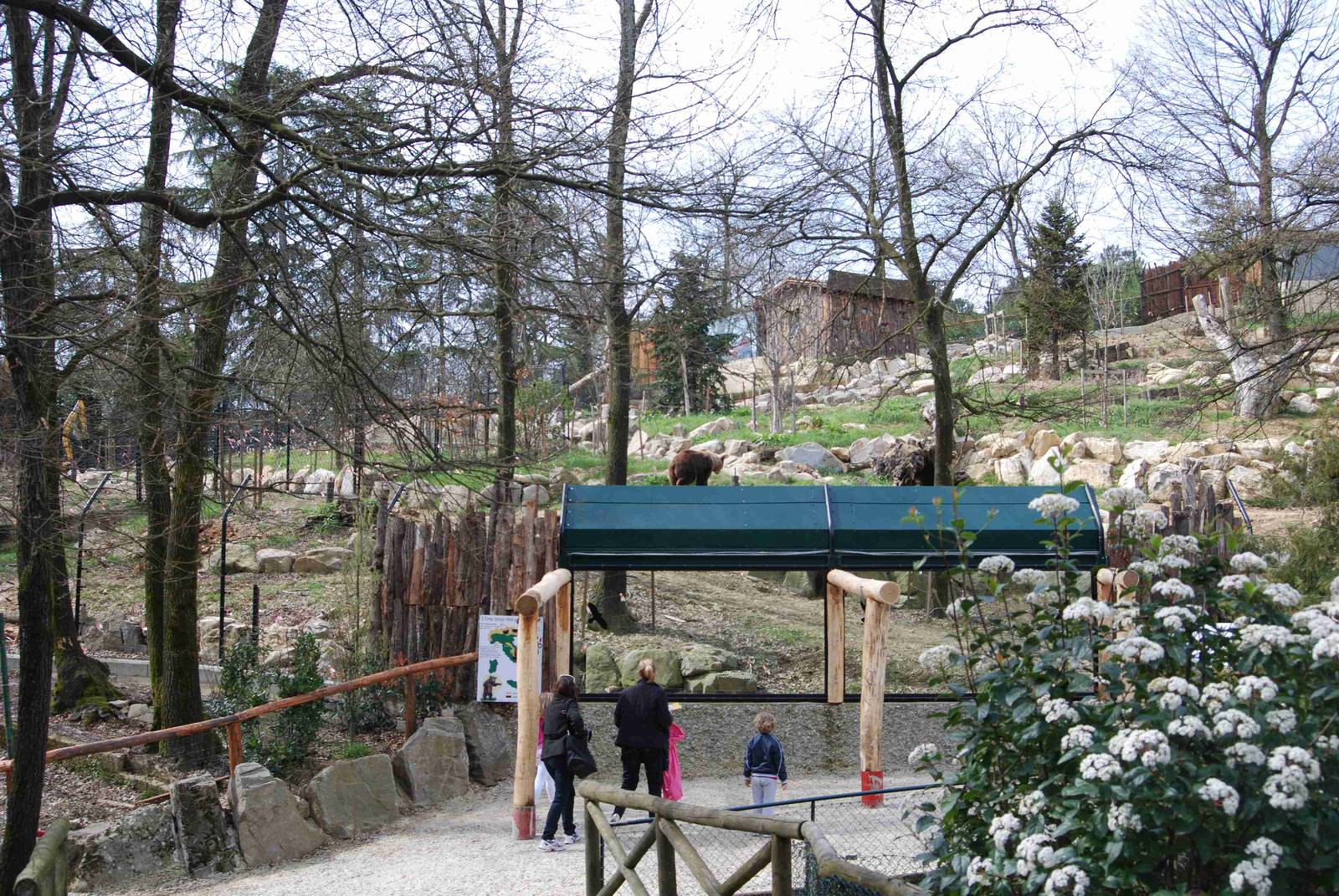 brown bear exhibit