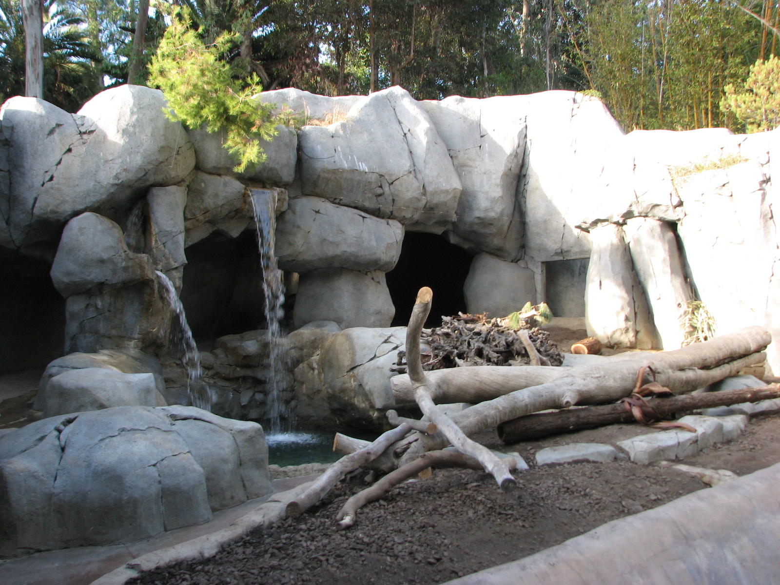 Brown Bear Exhibit