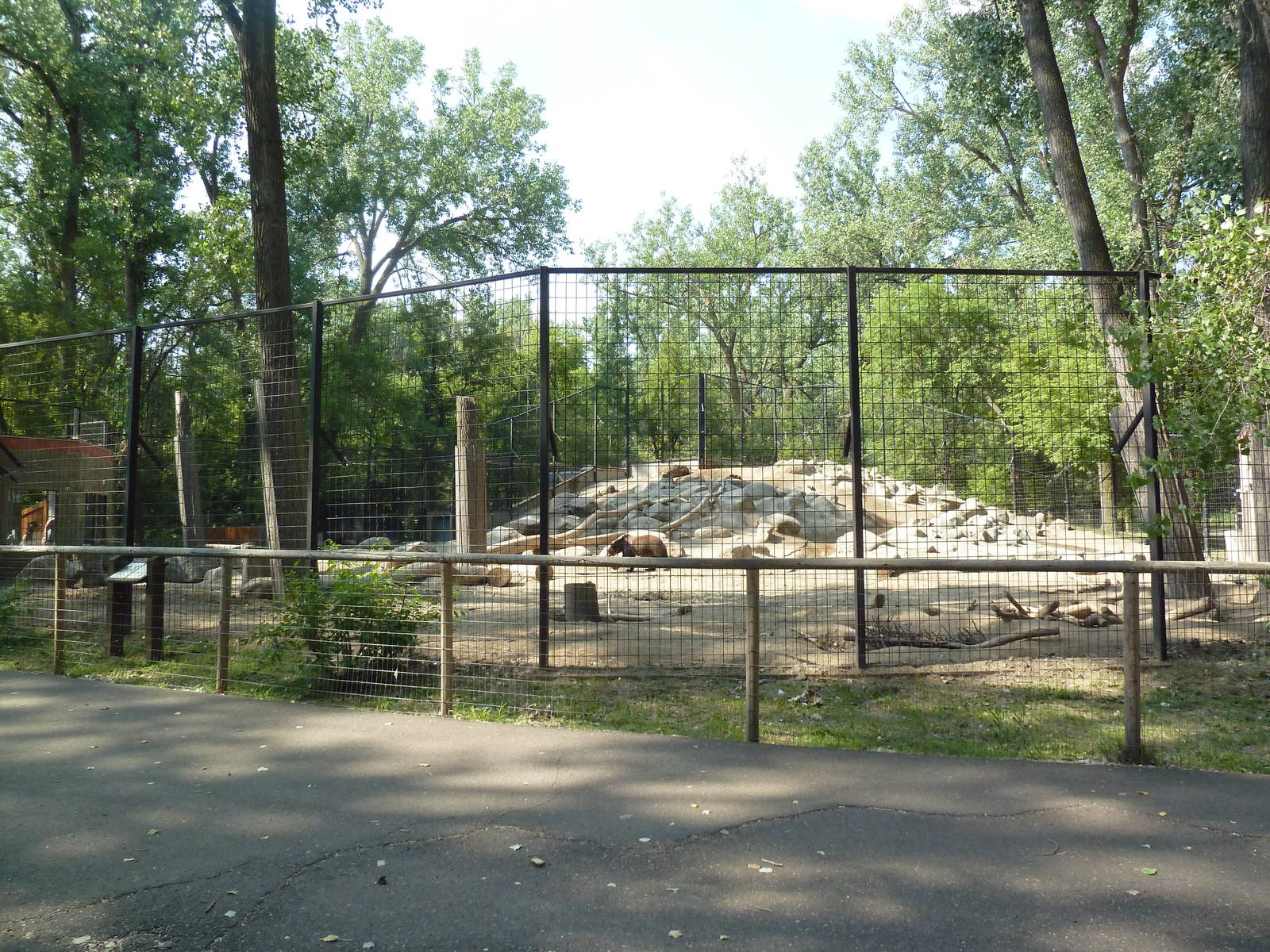 Brown Bear Exhibit