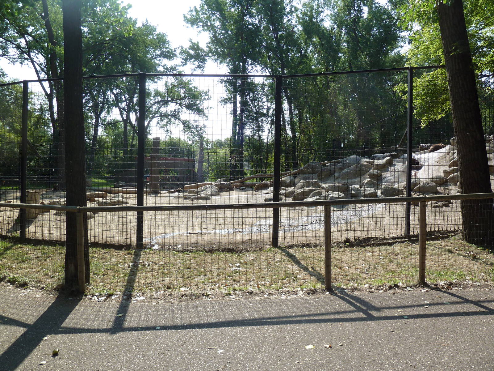 Brown Bear Exhibit