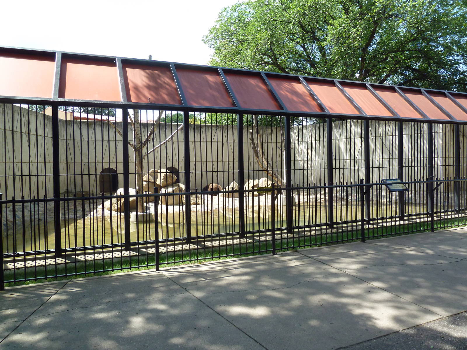 Brown Bear Exhibit