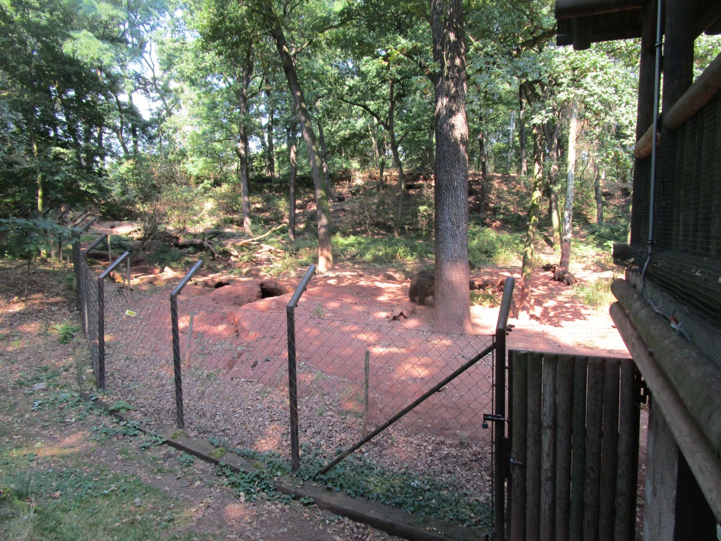 Brown Bear Exhibit