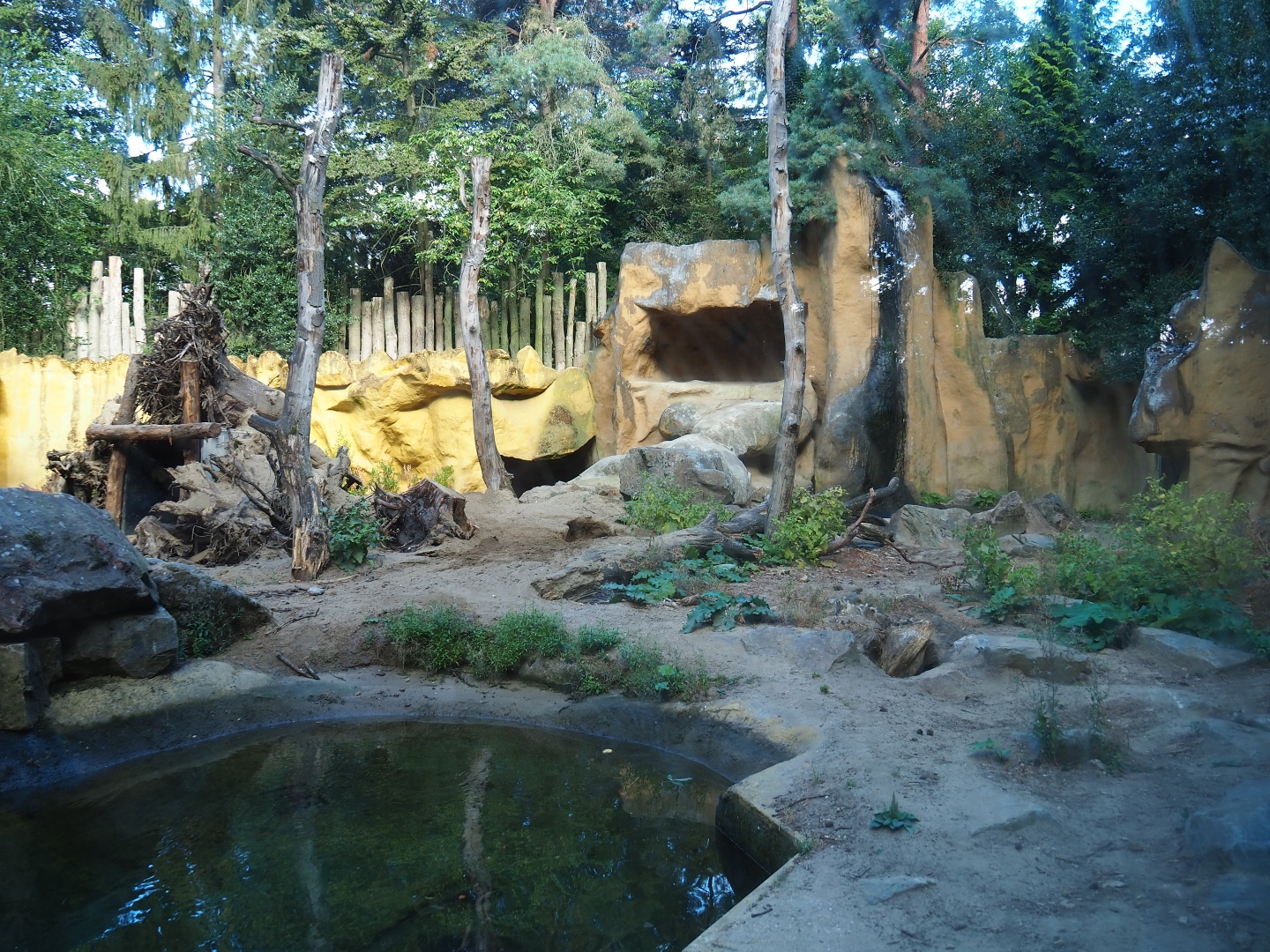 Brown bear exhibit