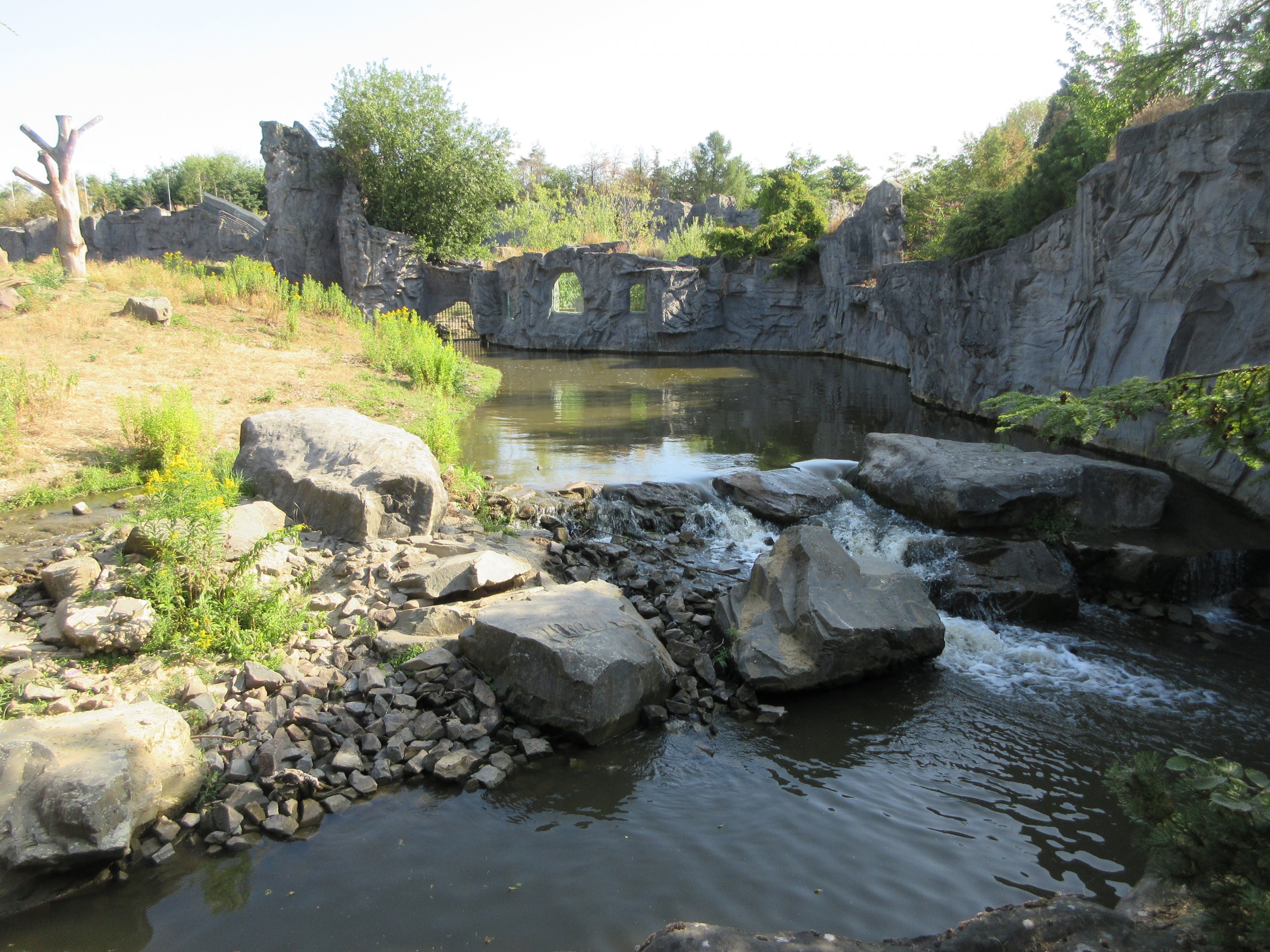 Brown Bear Exhibit