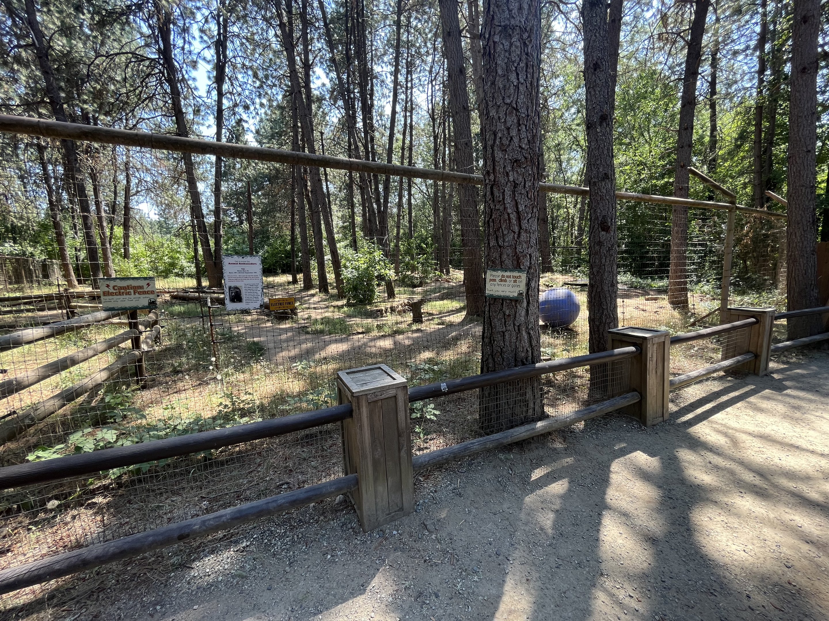 Brown Bear Exhibit