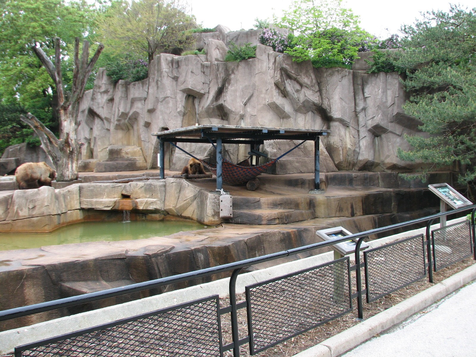 Brown Bear Exhibit