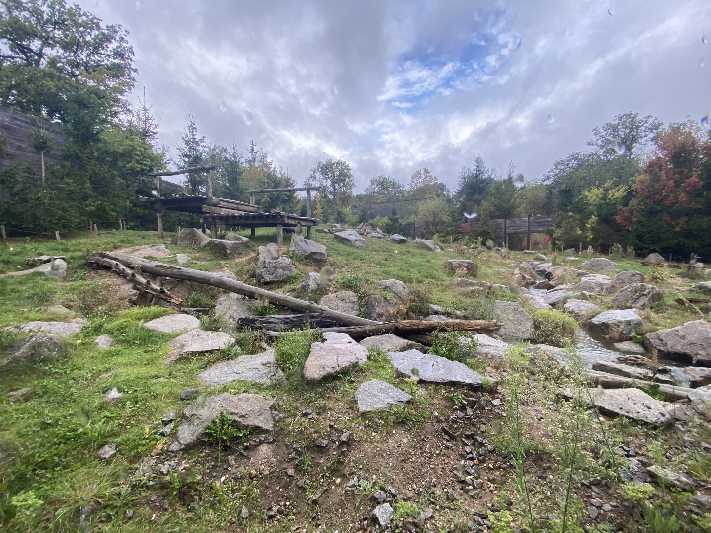 Brown bear first exhibit